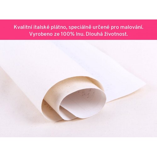 Malování podle čísel - PLACHETNICE VE VLNÁCH 50x40 cm plátno na rámu - Malovani_podle_cisel_img_05.jpg