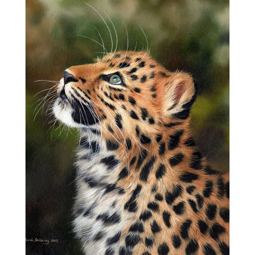 Malování podle čísel - ZVĚDAVÝ LEOPARD bez rámu 40 x 50 cm