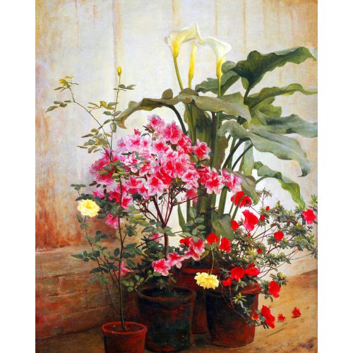 Diamantové malování - SIDE OF A GREENHOUSE,  Cochran bez rámu 40 x 50 cm