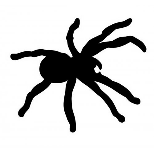 Pavouk - plastová šablona 14,5x14,5 cm