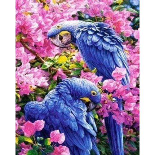Vyšívání křížkové sada  - Modří papoušci 32 x 40 cm
