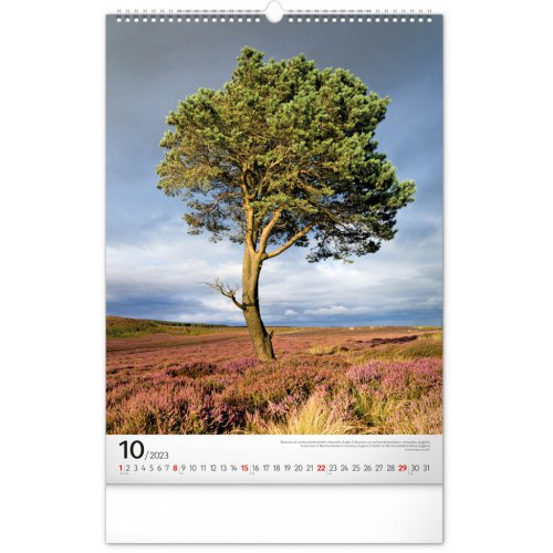 Nástěnný kalendář Stromy 2023, 33 × 46 cm - obrázek