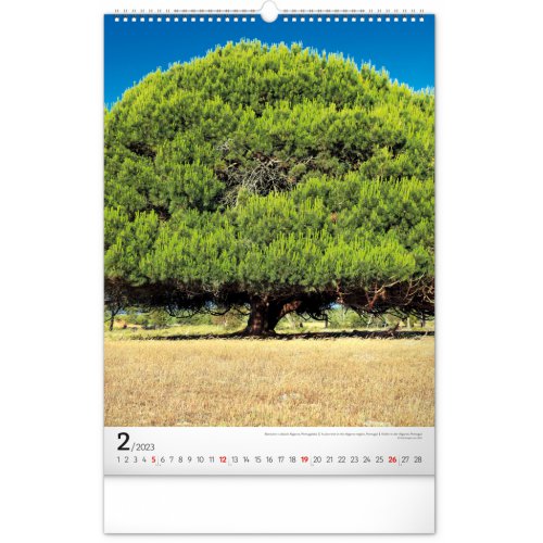 Nástěnný kalendář Stromy 2023, 33 × 46 cm - obrázek