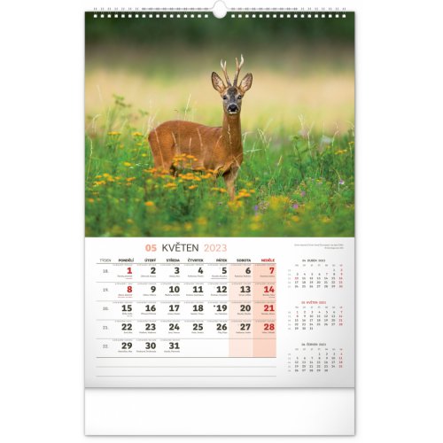 Nástěnný kalendář Myslivecký 2023, 33 × 46 cm - obrázek