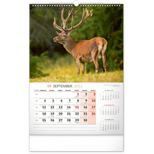 Nástenný kalendár Poľovnícky 2023, 33 × 46 cm - obrázek