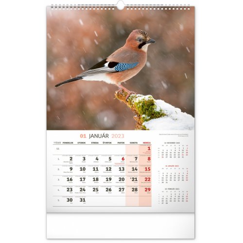 Nástenný kalendár Poľovnícky 2023, 33 × 46 cm - obrázek