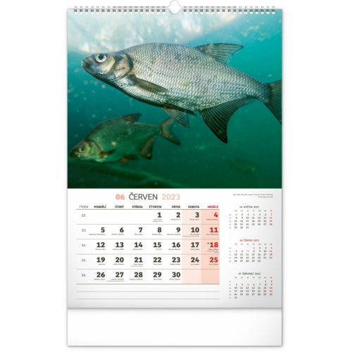 Nástěnný kalendář Rybářský 2023, 33 × 46 cm - obrázek