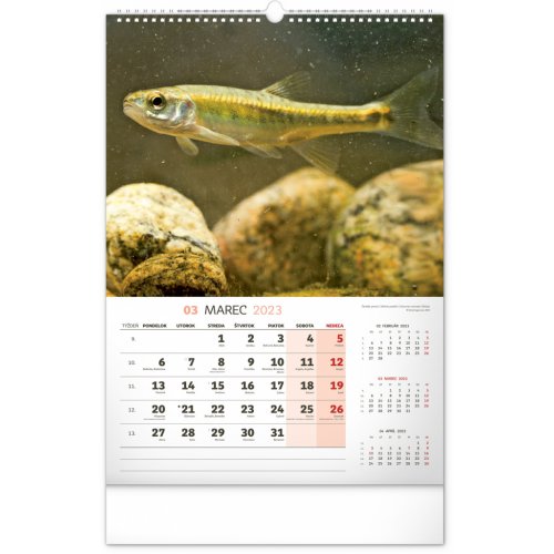 Nástenný kalendár Rybársky 2023, 33 × 46 cm - obrázek