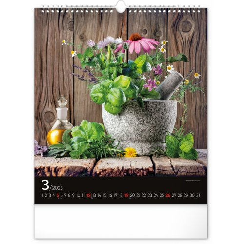 Nástěnný kalendář Koření a bylinky 2023, 30 × 34 cm - obrázek
