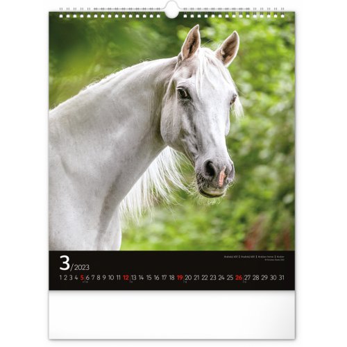 Nástěnný kalendář Koně 2023, 30 × 34 cm - obrázek