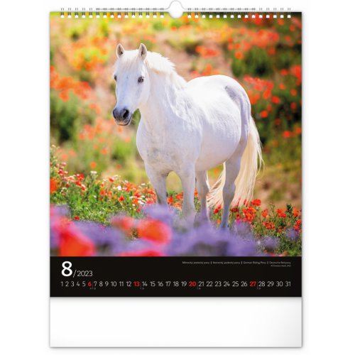 Nástěnný kalendář Koně 2023, 30 × 34 cm - obrázek