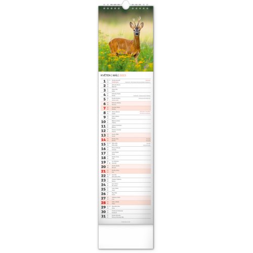 Nástěnný kalendář Lesní zvěř – Lesná zver 2023, 12 × 48 cm - obrázek