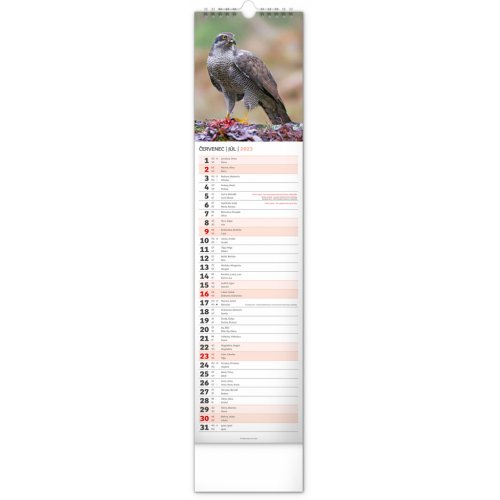 Nástěnný kalendář Lesní zvěř – Lesná zver 2023, 12 × 48 cm - obrázek