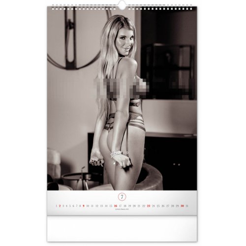 Nástěnný kalendář Romantic Girls – Martin Šebesta 2023, 33 × 46 cm - obrázek