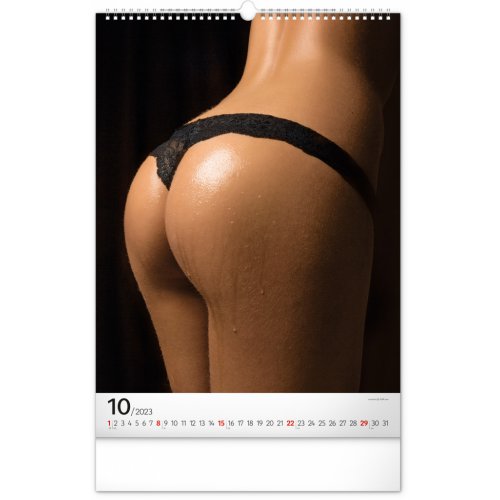 Nástěnný kalendář Booty Girls 2023, 33 × 46 cm - obrázek