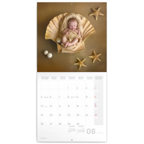 Poznámkový kalendář Babies – Věra Zlevorová 2023, 30 × 30 cm - obrázek
