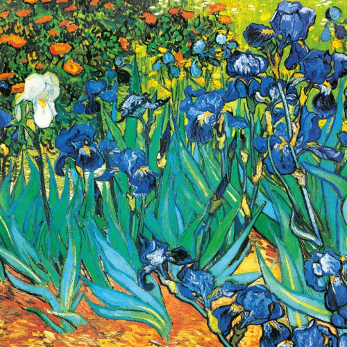 Poznámkový kalendář Vincent van Gogh 2023, 30 × 30 cm - obrázek