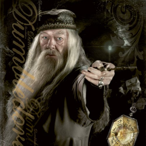 Poznámkový kalendář Harry Potter 2023, 30 × 30 cm - obrázek