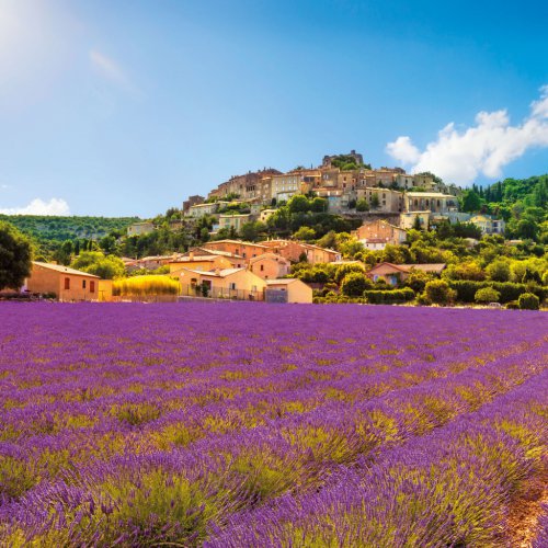 Poznámkový kalendář Provence 2023, voňavý, 30 × 30 cm - obrázek