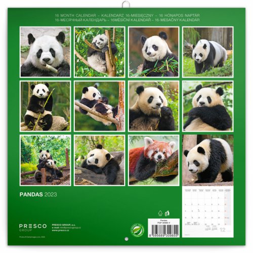 Poznámkový kalendář Pandy 2023, 30 × 30 cm - obrázek