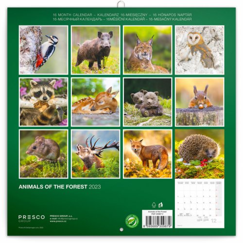 Poznámkový kalendář Zvířátka z lesa 2023, 30 × 30 cm - obrázek