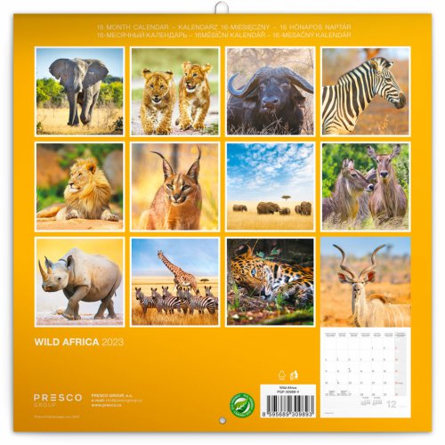 Poznámkový kalendář Divoká Afrika 2023, 30 × 30 cm - obrázek