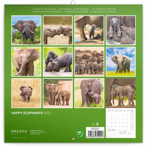 Poznámkový kalendář Šťastní sloni 2023, 30 × 30 cm - obrázek