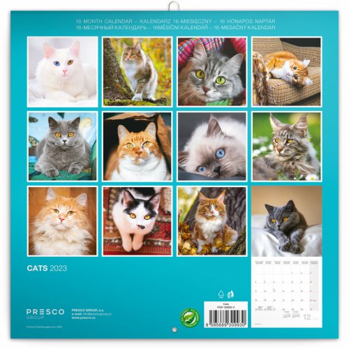 Poznámkový kalendář Kočky 2023, 30 × 30 cm - obrázek