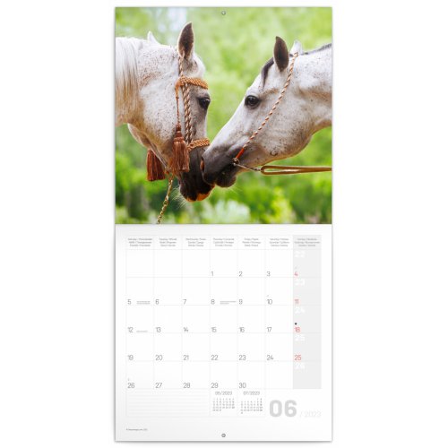 Poznámkový kalendář Mláďata 2023, 30 × 30 cm - obrázek