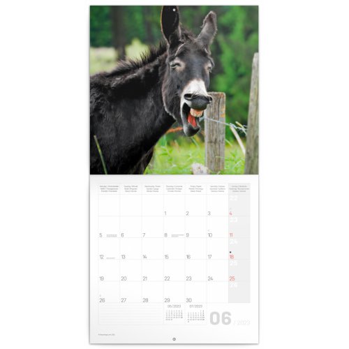 Poznámkový kalendář Úsměv, prosím... 2023, 30 × 30 cm - obrázek