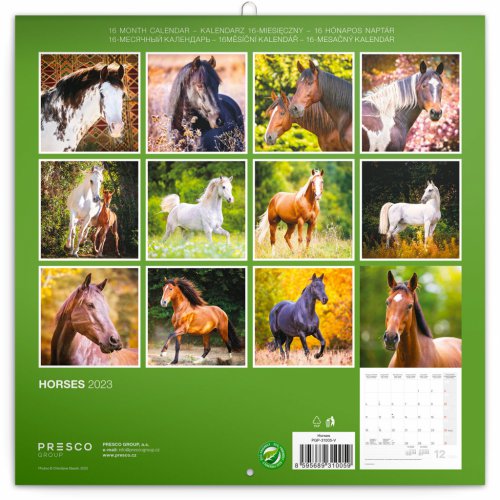 Poznámkový kalendář Koně – Christiane Slawik 2023, 30 × 30 cm - obrázek