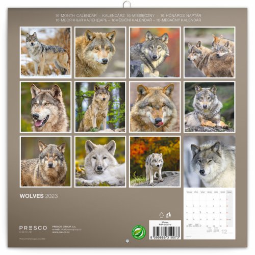 Poznámkový kalendář Vlci 2023, 30 × 30 cm - obrázek