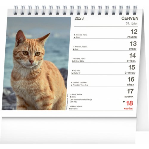 Stolní kalendář Kočky – se jmény koček 2023, 16,5 × 13 cm - obrázek