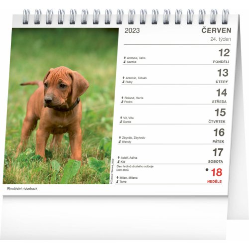 Stolní kalendář Psi – se jmény psů 2023, 16,5 × 13 cm - obrázek