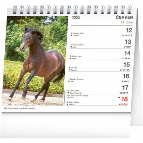 Stolní kalendář Poezie koní 2023, 16,5 × 13 cm - obrázek