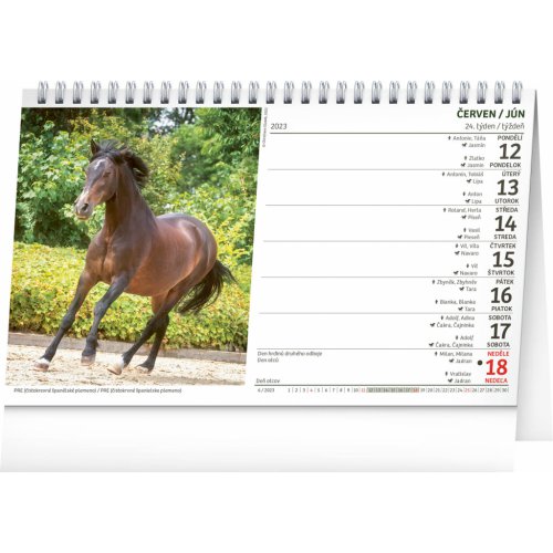 Stolní kalendář Koně – Kone CZ/SK 2023, 23,1 × 14,5 cm - obrázek