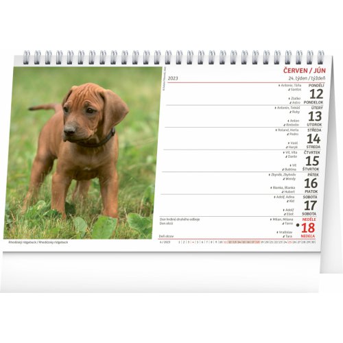 Stolní kalendář Psi – Psy CZ/SK 2023, 23,1 × 14,5 cm - obrázek
