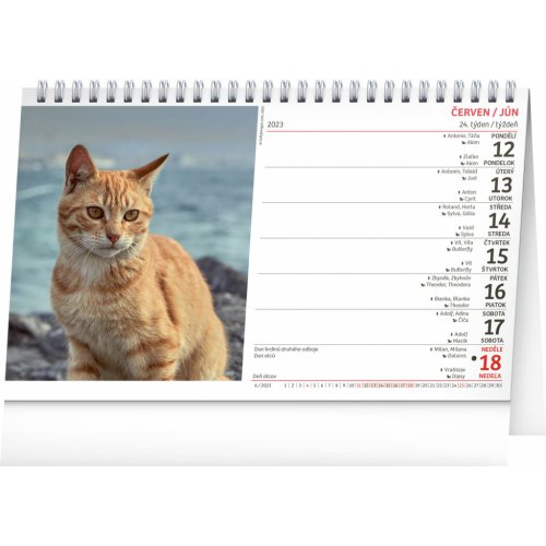 Stolní kalendář Kočky – Mačky CZ/SK 2023, 23,1 × 14,5 cm - obrázek