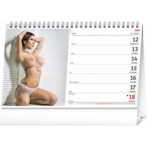 Stolový kalendár Girls 2023, 23,1 × 14,5 cm - obrázek
