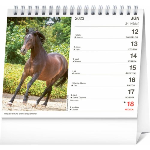 Stolový kalendár Poézia koní 2023, 16,5 × 13 cm - obrázek