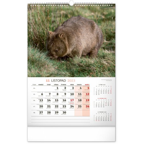 Nástěnný kalendář Za zvířaty do divočiny 2023, 33 × 46 cm - obrázek