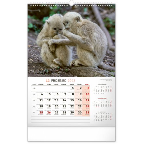Nástěnný kalendář Za zvířaty do divočiny 2023, 33 × 46 cm - obrázek