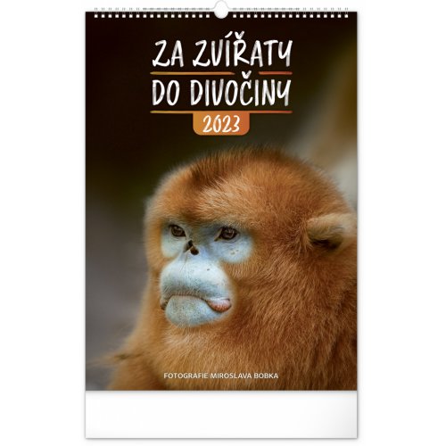 Nástěnný kalendář Za zvířaty do divočiny 2023, 33 × 46 cm