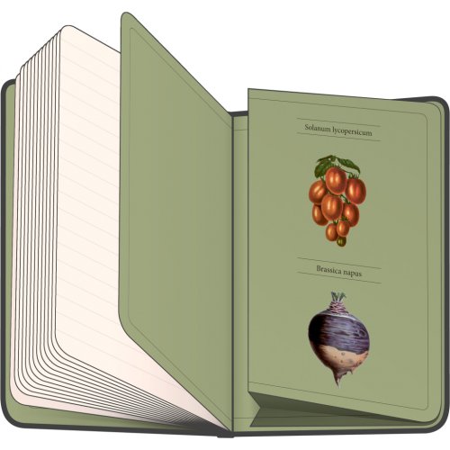 Notes Zelenina Kateřiny Winterové, linkovaný, 13 × 21 cm - obrázek