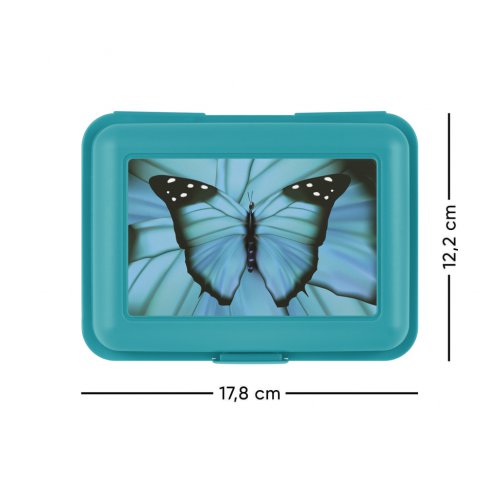 Box na svačinu / FIMO Butterfly - obrázek