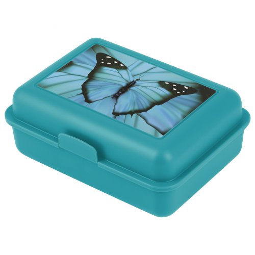 Box na svačinu / FIMO Butterfly