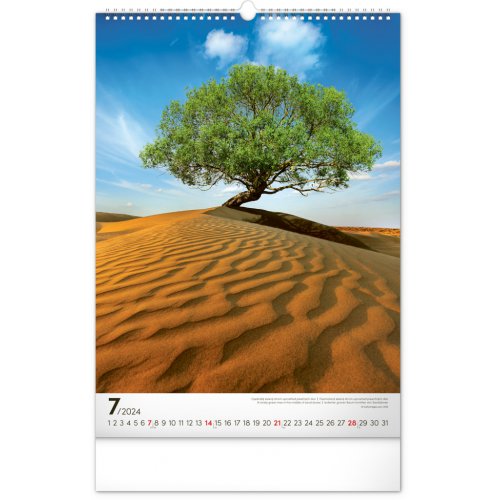 Nástěnný kalendář Stromy 2024, 33 × 46 cm - obrázek
