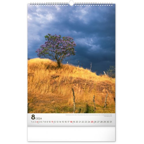 Nástěnný kalendář Stromy 2024, 33 × 46 cm - obrázek