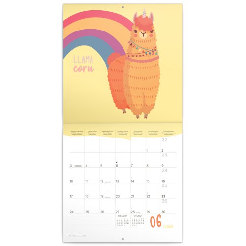 Poznámkový kalendář Šťastné lamy 2024, 30 × 30 cm - obrázek