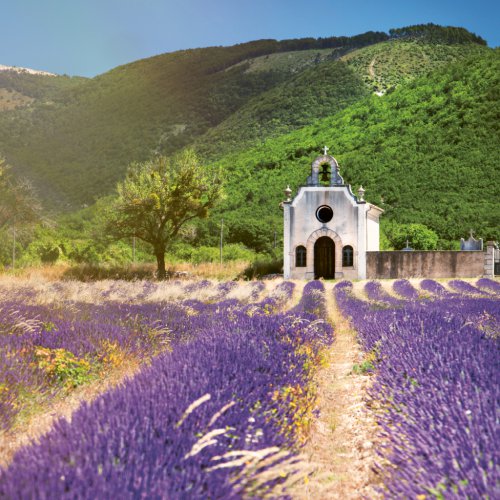 Poznámkový kalendář Provence 2024, voňavý, 30 × 30 cm - obrázek